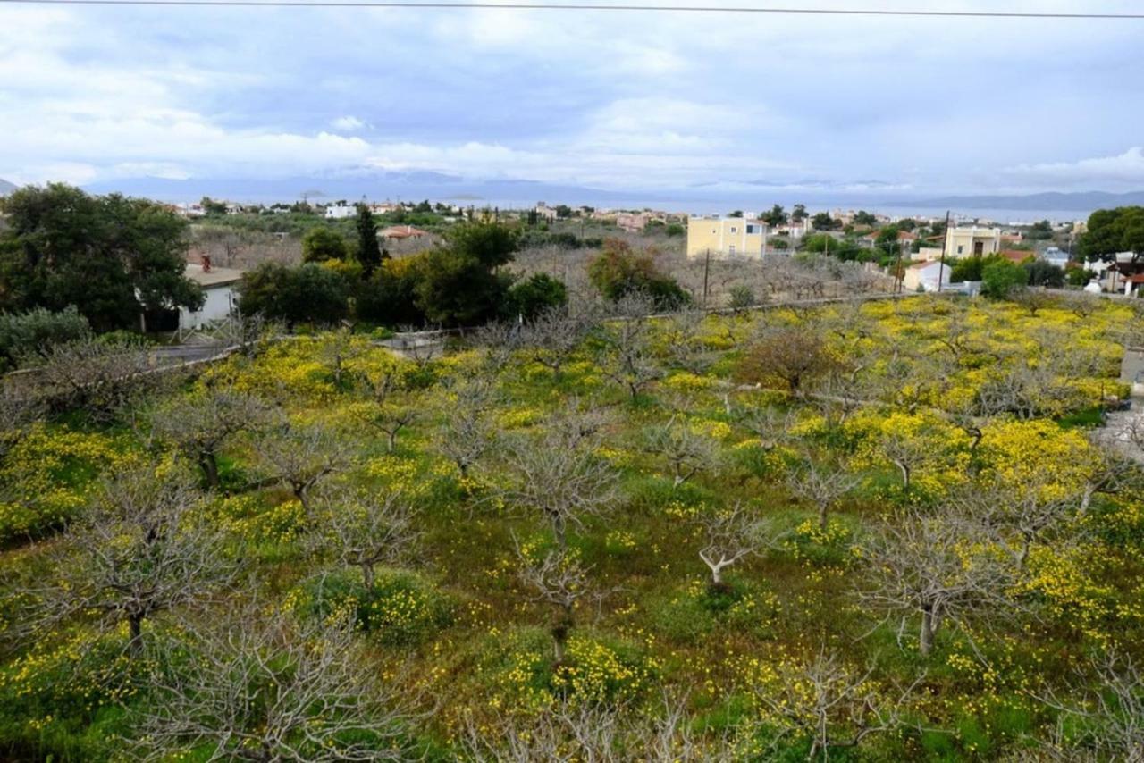 Villa Konstantinos Aegina Exterior foto